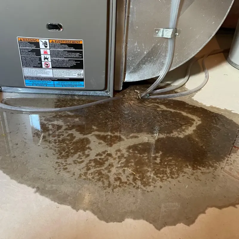 Appliance Leak Cleanup in Honolulu County, HI